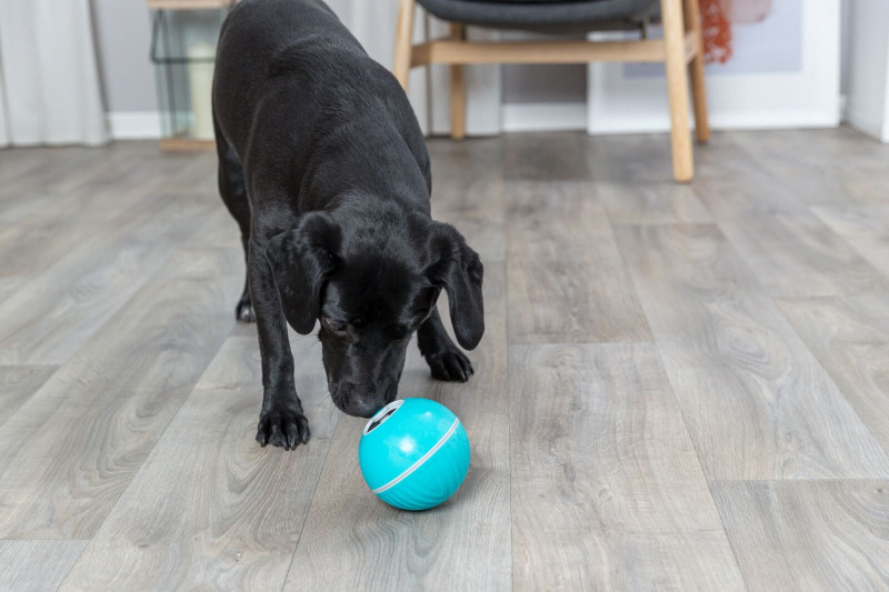 Snackball Kunststoff ø 75 cm blau